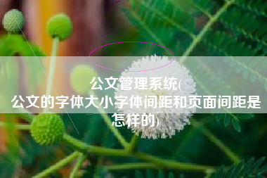 公文管理系统(
公文的字体大小字体间距和页面间距是怎样的) 公文管理系统(
公文的字体大小字体间距和页面间距是怎样的)
