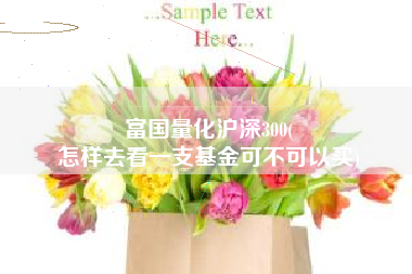 富国量化沪深300(
怎样去看一支基金可不可以买) 富国量化沪深300(
怎样去看一支基金可不可以买)