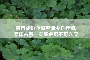 南方成份净值查询今日行情,
怎样去看一支基金可不可以买 南方成份净值查询今日行情,
怎样去看一支基金可不可以买