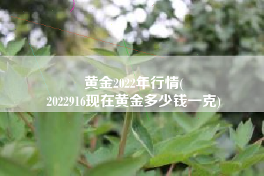 黄金2022年行情(
2022916现在黄金多少钱一克) 黄金2022年行情(
2022916现在黄金多少钱一克)