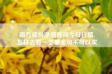 南方成份净值查询今日行情,
怎样去看一支基金可不可以买 南方成份净值查询今日行情,
怎样去看一支基金可不可以买