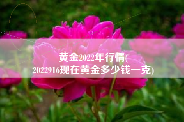 黄金2022年行情(
2022916现在黄金多少钱一克) 黄金2022年行情(
2022916现在黄金多少钱一克)