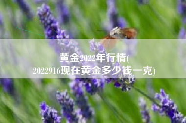 黄金2022年行情(
2022916现在黄金多少钱一克) 黄金2022年行情(
2022916现在黄金多少钱一克)