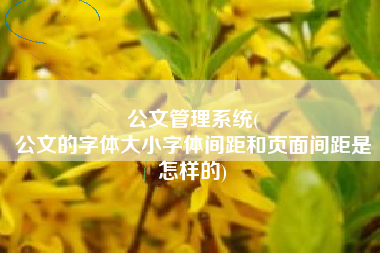 公文管理系统(
公文的字体大小字体间距和页面间距是怎样的) 公文管理系统(
公文的字体大小字体间距和页面间距是怎样的)
