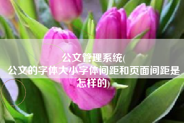 公文管理系统(
公文的字体大小字体间距和页面间距是怎样的) 公文管理系统(
公文的字体大小字体间距和页面间距是怎样的)