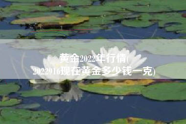 黄金2022年行情(
2022916现在黄金多少钱一克) 黄金2022年行情(
2022916现在黄金多少钱一克)