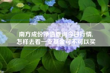 南方成份净值查询今日行情,
怎样去看一支基金可不可以买 南方成份净值查询今日行情,
怎样去看一支基金可不可以买