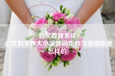 公文管理系统(
公文的字体大小字体间距和页面间距是怎样的) 公文管理系统(
公文的字体大小字体间距和页面间距是怎样的)
