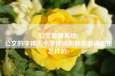 公文管理系统(
公文的字体大小字体间距和页面间距是怎样的) 公文管理系统(
公文的字体大小字体间距和页面间距是怎样的)