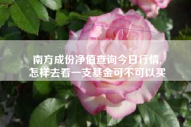 南方成份净值查询今日行情,
怎样去看一支基金可不可以买 南方成份净值查询今日行情,
怎样去看一支基金可不可以买