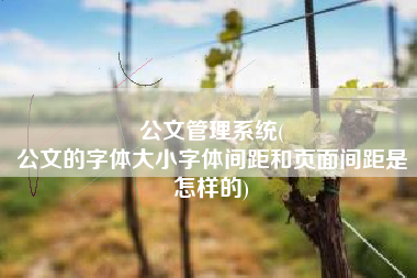 公文管理系统(
公文的字体大小字体间距和页面间距是怎样的) 公文管理系统(
公文的字体大小字体间距和页面间距是怎样的)