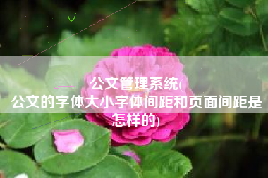 公文管理系统(
公文的字体大小字体间距和页面间距是怎样的) 公文管理系统(
公文的字体大小字体间距和页面间距是怎样的)