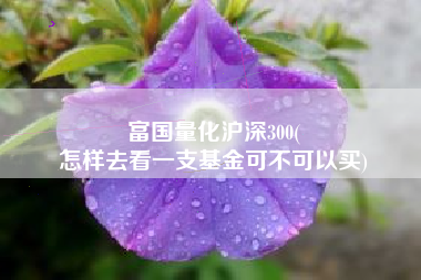 富国量化沪深300(
怎样去看一支基金可不可以买) 富国量化沪深300(
怎样去看一支基金可不可以买)