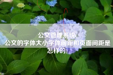 公文管理系统(
公文的字体大小字体间距和页面间距是怎样的) 公文管理系统(
公文的字体大小字体间距和页面间距是怎样的)