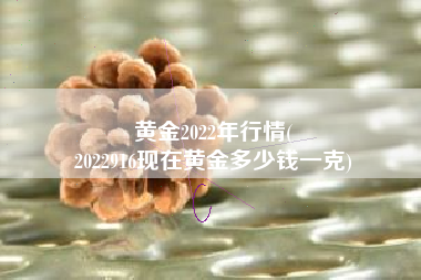 黄金2022年行情(
2022916现在黄金多少钱一克) 黄金2022年行情(
2022916现在黄金多少钱一克)
