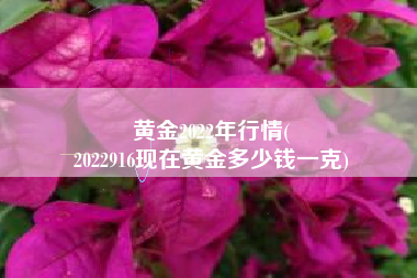 黄金2022年行情(
2022916现在黄金多少钱一克) 黄金2022年行情(
2022916现在黄金多少钱一克)