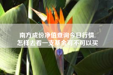 南方成份净值查询今日行情,
怎样去看一支基金可不可以买 南方成份净值查询今日行情,
怎样去看一支基金可不可以买