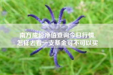 南方成份净值查询今日行情,
怎样去看一支基金可不可以买 南方成份净值查询今日行情,
怎样去看一支基金可不可以买