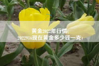 黄金2022年行情(
2022916现在黄金多少钱一克) 黄金2022年行情(
2022916现在黄金多少钱一克)