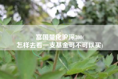 富国量化沪深300(
怎样去看一支基金可不可以买) 富国量化沪深300(
怎样去看一支基金可不可以买)