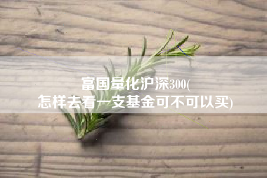 富国量化沪深300(
怎样去看一支基金可不可以买) 富国量化沪深300(
怎样去看一支基金可不可以买)