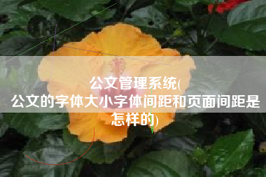 公文管理系统(
公文的字体大小字体间距和页面间距是怎样的) 公文管理系统(
公文的字体大小字体间距和页面间距是怎样的)