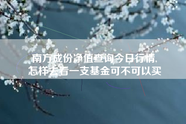 南方成份净值查询今日行情,
怎样去看一支基金可不可以买 南方成份净值查询今日行情,
怎样去看一支基金可不可以买