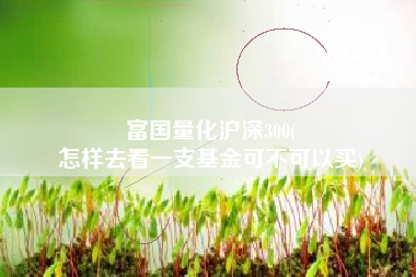 富国量化沪深300(
怎样去看一支基金可不可以买) 富国量化沪深300(
怎样去看一支基金可不可以买)