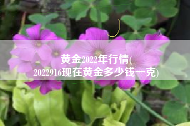 黄金2022年行情(
2022916现在黄金多少钱一克) 黄金2022年行情(
2022916现在黄金多少钱一克)