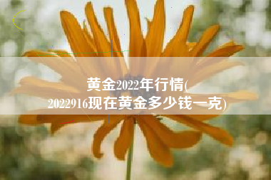 黄金2022年行情(
2022916现在黄金多少钱一克) 黄金2022年行情(
2022916现在黄金多少钱一克)
