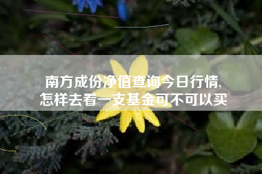 南方成份净值查询今日行情,
怎样去看一支基金可不可以买 南方成份净值查询今日行情,
怎样去看一支基金可不可以买