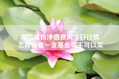 南方成份净值查询今日行情,
怎样去看一支基金可不可以买 南方成份净值查询今日行情,
怎样去看一支基金可不可以买