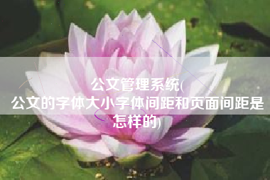 公文管理系统(
公文的字体大小字体间距和页面间距是怎样的) 公文管理系统(
公文的字体大小字体间距和页面间距是怎样的)