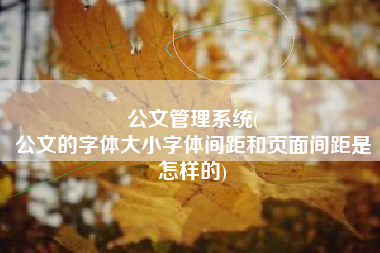 公文管理系统(
公文的字体大小字体间距和页面间距是怎样的) 公文管理系统(
公文的字体大小字体间距和页面间距是怎样的)