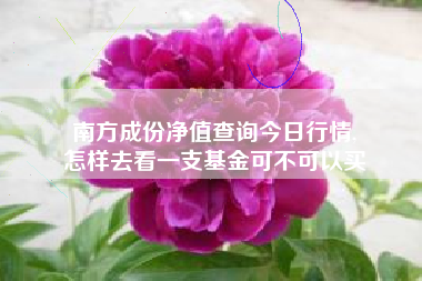 南方成份净值查询今日行情,
怎样去看一支基金可不可以买 南方成份净值查询今日行情,
怎样去看一支基金可不可以买