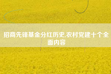 招商先锋基金分红历史,农村党建十个全面内容