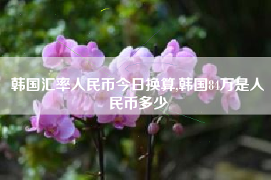 韩国汇率人民币今日换算,韩国84万是人民币多少