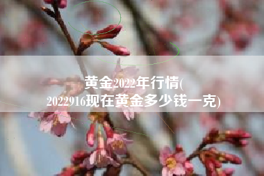 黄金2022年行情(
2022916现在黄金多少钱一克) 黄金2022年行情(
2022916现在黄金多少钱一克)
