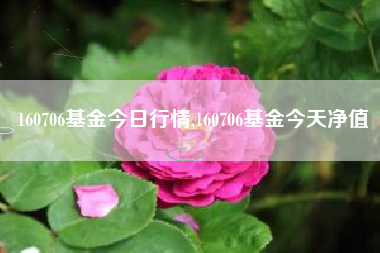 160706基金今日行情,160706基金今天净值