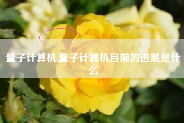 量子计算机,量子计算机目前的进展是什么