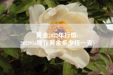黄金2022年行情(
2022916现在黄金多少钱一克) 黄金2022年行情(
2022916现在黄金多少钱一克)