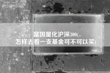 富国量化沪深300(
怎样去看一支基金可不可以买) 富国量化沪深300(
怎样去看一支基金可不可以买)