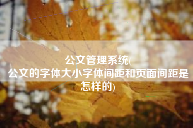 公文管理系统(
公文的字体大小字体间距和页面间距是怎样的) 公文管理系统(
公文的字体大小字体间距和页面间距是怎样的)