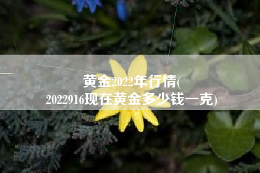 黄金2022年行情(
2022916现在黄金多少钱一克) 黄金2022年行情(
2022916现在黄金多少钱一克)