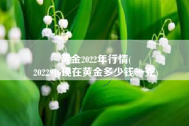 黄金2022年行情(
2022916现在黄金多少钱一克) 黄金2022年行情(
2022916现在黄金多少钱一克)