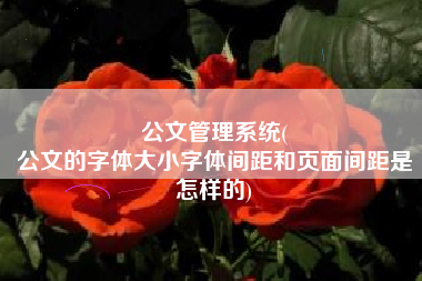 公文管理系统(
公文的字体大小字体间距和页面间距是怎样的) 公文管理系统(
公文的字体大小字体间距和页面间距是怎样的)