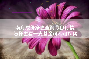 南方成份净值查询今日行情,
怎样去看一支基金可不可以买 南方成份净值查询今日行情,
怎样去看一支基金可不可以买