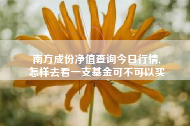 南方成份净值查询今日行情,
怎样去看一支基金可不可以买 南方成份净值查询今日行情,
怎样去看一支基金可不可以买