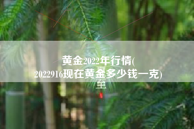 黄金2022年行情(
2022916现在黄金多少钱一克) 黄金2022年行情(
2022916现在黄金多少钱一克)