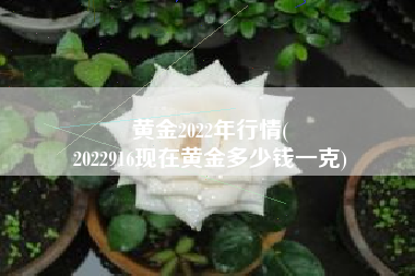 黄金2022年行情(
2022916现在黄金多少钱一克) 黄金2022年行情(
2022916现在黄金多少钱一克)